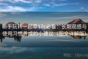 新手玩转一起草17c必看：长期观感与使用习惯养成的小建议（图文详解版）
