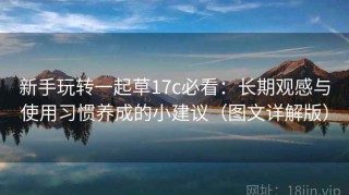 新手玩转一起草17c必看：长期观感与使用习惯养成的小建议（图文详解版）