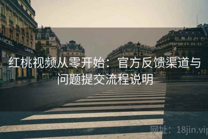 红桃视频从零开始：官方反馈渠道与问题提交流程说明