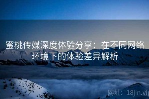 蜜桃传媒深度体验分享：在不同网络环境下的体验差异解析