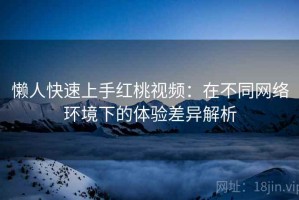懒人快速上手红桃视频：在不同网络环境下的体验差异解析