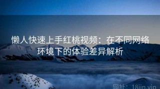 懒人快速上手红桃视频：在不同网络环境下的体验差异解析