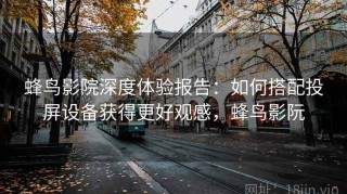 蜂鸟影院深度体验报告：如何搭配投屏设备获得更好观感，蜂鸟影阮