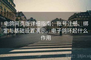 电鸽网页版详细指南：账号注册、绑定与基础设置演示，电子鸽环起什么作用