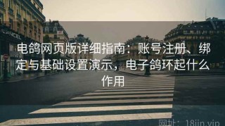 电鸽网页版详细指南：账号注册、绑定与基础设置演示，电子鸽环起什么作用