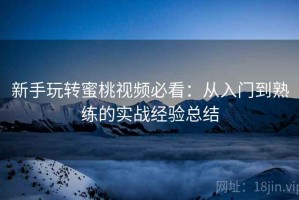 新手玩转蜜桃视频必看：从入门到熟练的实战经验总结