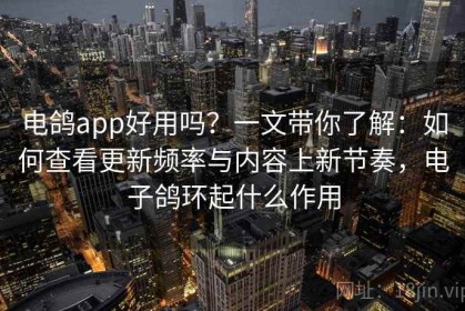 电鸽app好用吗？一文带你了解：如何查看更新频率与内容上新节奏，电子鸽环起什么作用