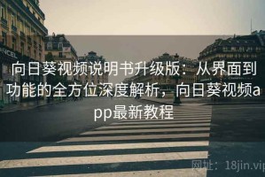 向日葵视频说明书升级版：从界面到功能的全方位深度解析，向日葵视频app最新教程