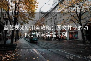 蓝莓视频使用全攻略：图文并茂的功能讲解与实操示例