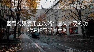 蓝莓视频使用全攻略：图文并茂的功能讲解与实操示例