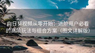向日葵视频从零开始：进阶用户必看的高阶玩法与组合方案（图文详解版）