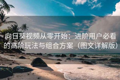 向日葵视频从零开始：进阶用户必看的高阶玩法与组合方案（图文详解版）