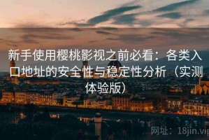 新手使用樱桃影视之前必看：各类入口地址的安全性与稳定性分析（实测体验版）
