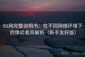 91网完整说明书：在不同网络环境下的体验差异解析（新手友好版）