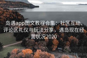 岛遇app图文教程合集：社区互动、评论区礼仪与玩法分享，遇岛现在经营状况2020