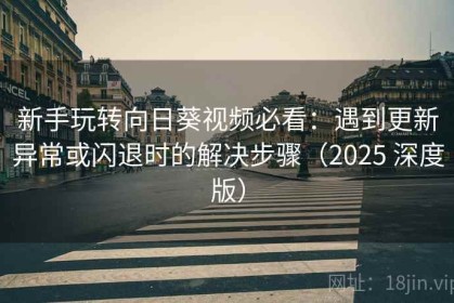 新手玩转向日葵视频必看：遇到更新异常或闪退时的解决步骤（2025 深度版）