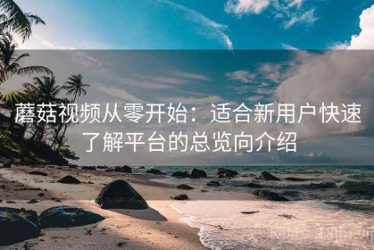 蘑菇视频从零开始：适合新用户快速了解平台的总览向介绍