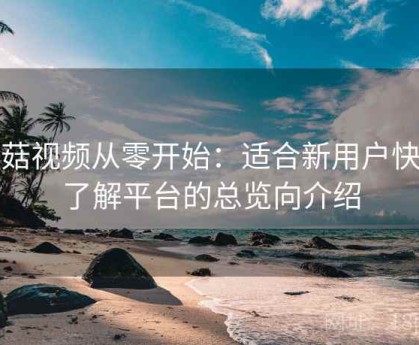 蘑菇视频从零开始：适合新用户快速了解平台的总览向介绍