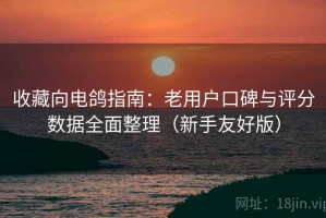 收藏向电鸽指南：老用户口碑与评分数据全面整理（新手友好版）