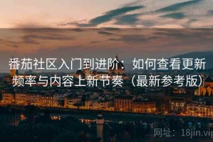 番茄社区入门到进阶：如何查看更新频率与内容上新节奏（最新参考版）