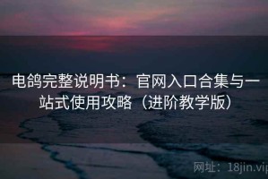 电鸽完整说明书：官网入口合集与一站式使用攻略（进阶教学版）