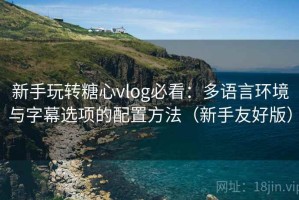 新手玩转糖心vlog必看：多语言环境与字幕选项的配置方法（新手友好版）