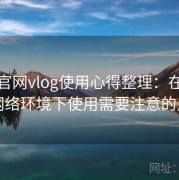 糖心官网vlog使用心得整理：在公共网络环境下使用需要注意的点