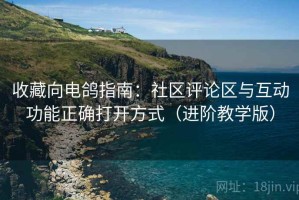 收藏向电鸽指南：社区评论区与互动功能正确打开方式（进阶教学版）