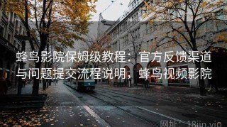蜂鸟影院保姆级教程：官方反馈渠道与问题提交流程说明，蜂鸟视频影院