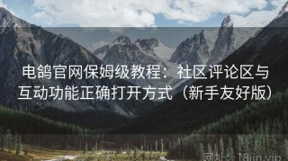 电鸽官网保姆级教程：社区评论区与互动功能正确打开方式（新手友好版）