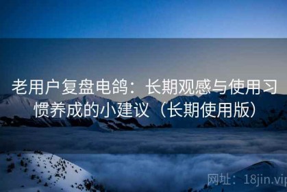 老用户复盘电鸽：长期观感与使用习惯养成的小建议（长期使用版）