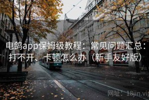 电鸽app保姆级教程：常见问题汇总：打不开、卡顿怎么办（新手友好版）