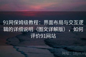 91网保姆级教程：界面布局与交互逻辑的详细说明（图文详解版），如何评价91网站