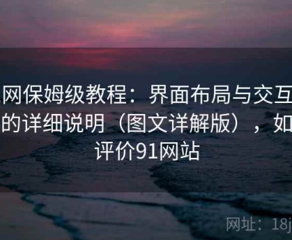 91网保姆级教程：界面布局与交互逻辑的详细说明（图文详解版），如何评价91网站