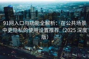 91网入口与功能全解析：在公共场景中更隐私的使用设置推荐（2025 深度版）