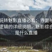 新手玩转魅影直播必看：界面布局与交互逻辑的详细说明，魅影综合一台是什么直播