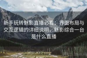 新手玩转魅影直播必看：界面布局与交互逻辑的详细说明，魅影综合一台是什么直播