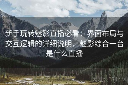 新手玩转魅影直播必看：界面布局与交互逻辑的详细说明，魅影综合一台是什么直播