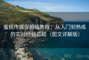 蜜桃传媒保姆级教程：从入门到熟练的实战经验总结（图文详解版）