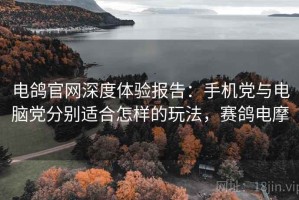 电鸽官网深度体验报告：手机党与电脑党分别适合怎样的玩法，赛鸽电摩
