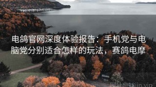 电鸽官网深度体验报告：手机党与电脑党分别适合怎样的玩法，赛鸽电摩