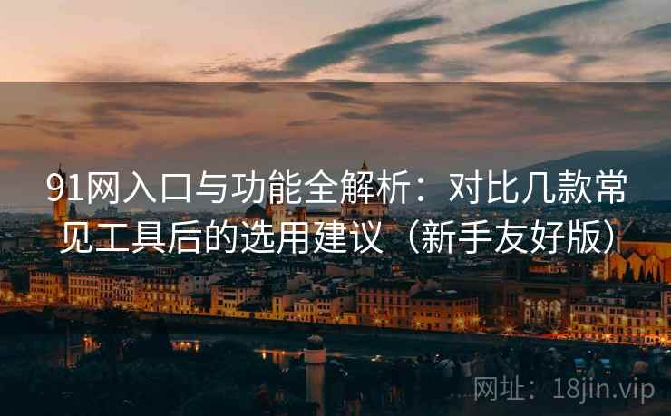 91网入口与功能全解析：对比几款常见工具后的选用建议（新手友好版）