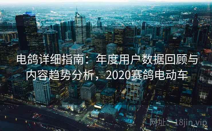 电鸽详细指南：年度用户数据回顾与内容趋势分析，2020赛鸽电动车