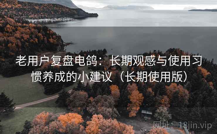 老用户复盘电鸽：长期观感与使用习惯养成的小建议（长期使用版）