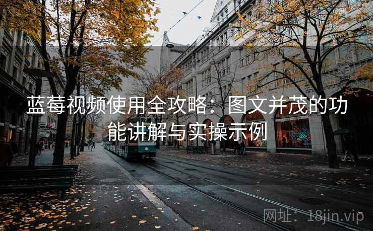 蓝莓视频使用全攻略：图文并茂的功能讲解与实操示例