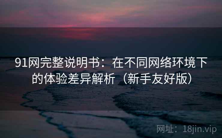 91网完整说明书:在不同网络环境下的体验差异解析(新手友好版) 91网完整说明书:在不同网络环境下的体验差异解析(新手友好版)