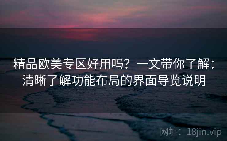 精品欧美专区好用吗？一文带你了解：清晰了解功能布局的界面导览说明