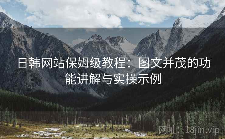 日韩网站保姆级教程：图文并茂的功能讲解与实操示例