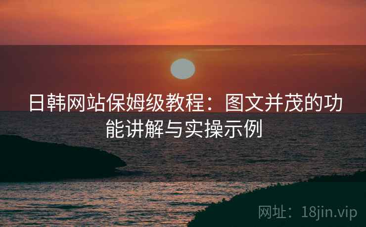 日韩网站保姆级教程：图文并茂的功能讲解与实操示例