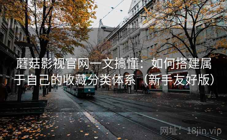 蘑菇影视官网一文搞懂：如何搭建属于自己的收藏分类体系（新手友好版）